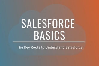salesforce basics