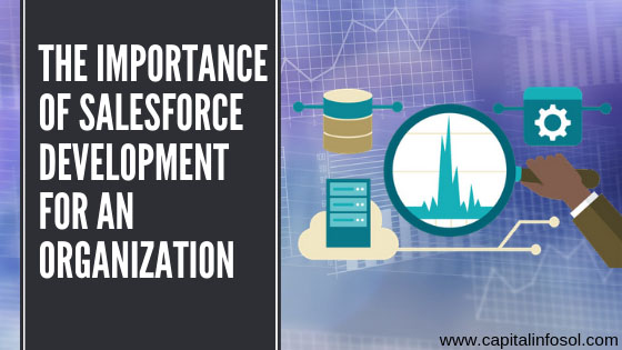 The Importance of Salesforce Development for an Organization